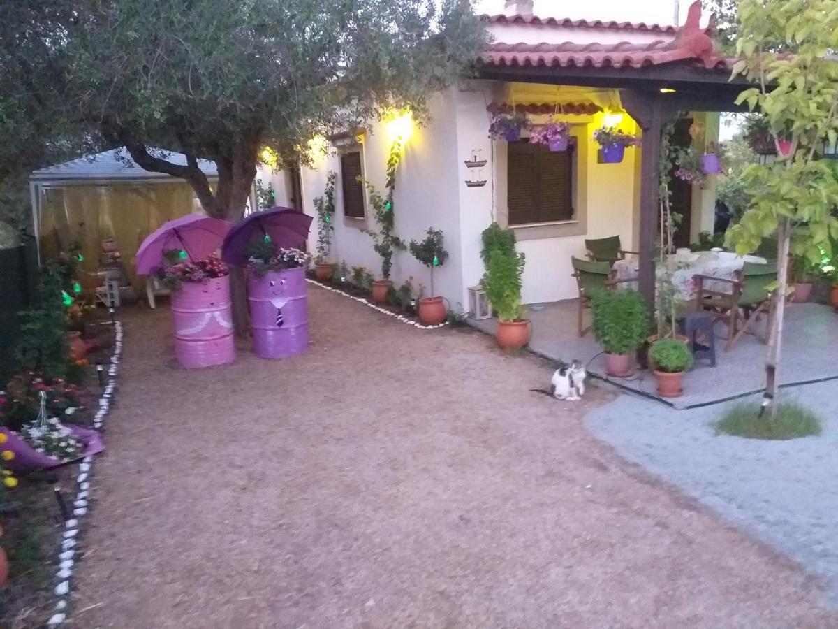 Killini Cottage Studio The Small Cyclades Kastro-Kyllini Exterior photo